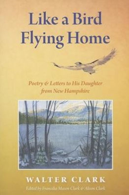 Like a Bird Flying Home, Paperback / softback Book