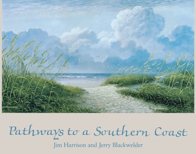 Pathways to a Southern Coast, Hardback Book