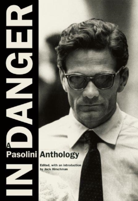 In Danger : A Pasolini Anthology, Paperback / softback Book