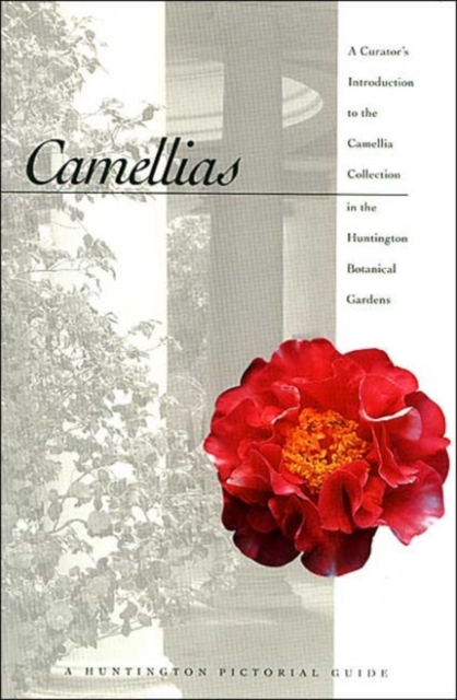 Camellias : A Curator's Introduction to the Camellia Collection in the Huntington Botanical Gardens, Paperback / softback Book