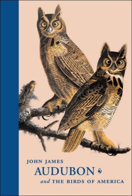 John James Audubon and the Birds of America : A Visionary Achievement in Ornithology Illustration, Hardback Book