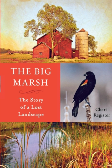 The Big Marsh : The Story of a Lost Landscape, EPUB eBook