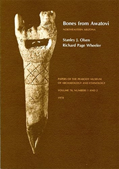 Bones from Awatovi, Northeastern Arizona, Paperback / softback Book