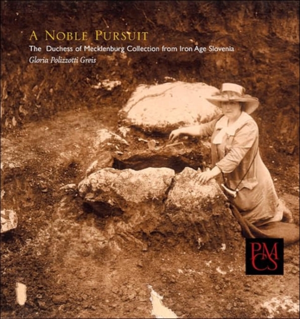 A Noble Pursuit : The Duchess of Mecklenburg Collection from Iron Age Slovenia, Paperback / softback Book