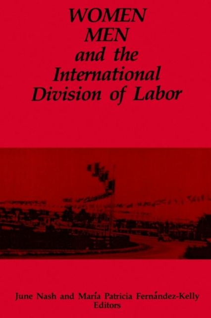 Women, Men, and the International Division of Labor, Paperback / softback Book