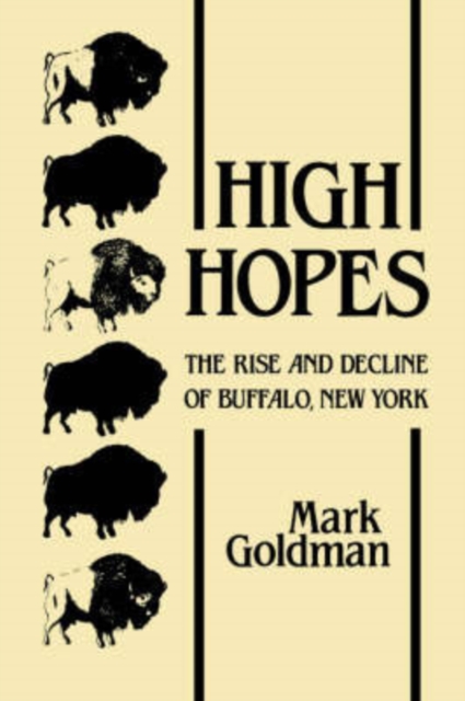High Hopes : The Rise and Decline of Buffalo, New York, Paperback / softback Book