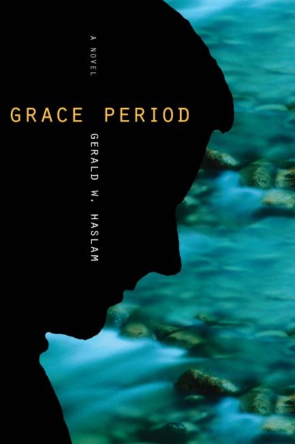 Grace Period : A Novel, EPUB eBook
