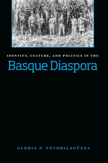 Identity, Culture, and Politics in the Basque Diaspora, Paperback / softback Book