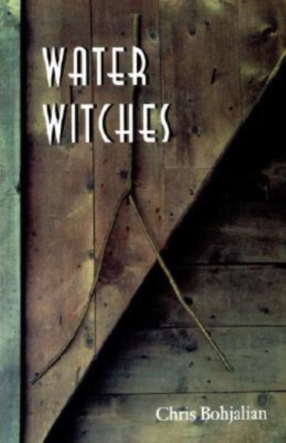 Water Witches, Hardback Book