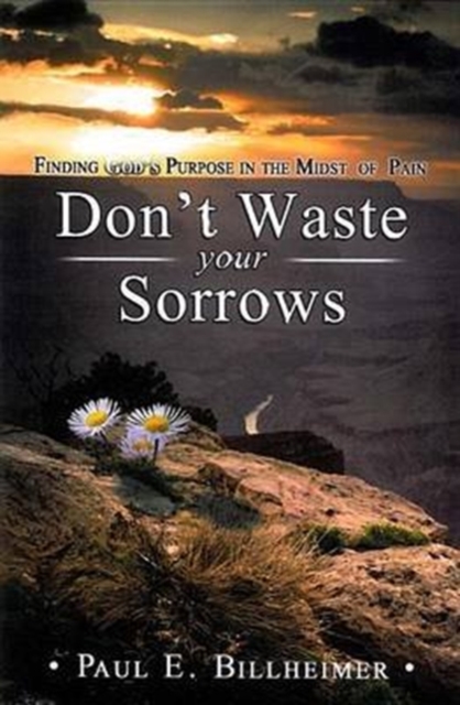 Don't Waste Your Sorrows, Paperback / softback Book