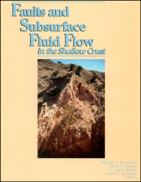 Faults and Subsurface Fluid Flow in the Shallow Crust, Hardback Book
