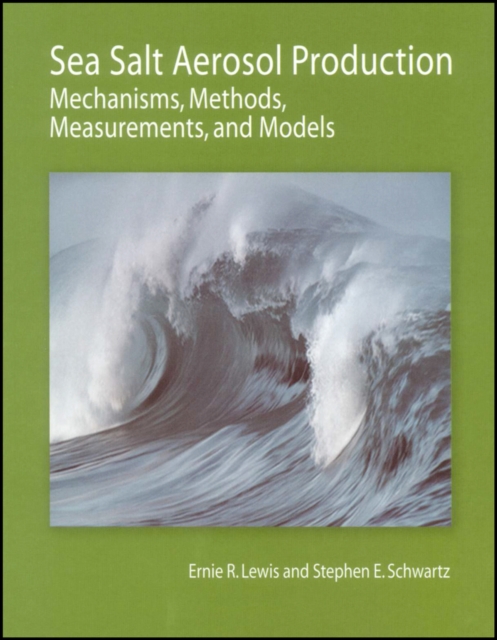 Sea Salt Aerosol Production : Mechanisms, Methods, Measurements, and Models, Hardback Book