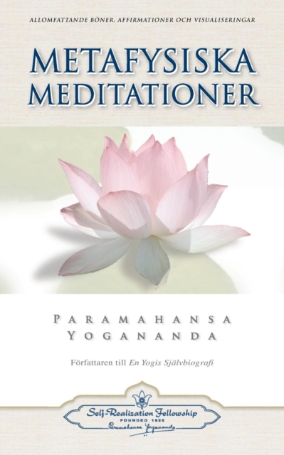 Metafysiska Meditationer (Metaphysical Meditations - Swedish), Paperback / softback Book