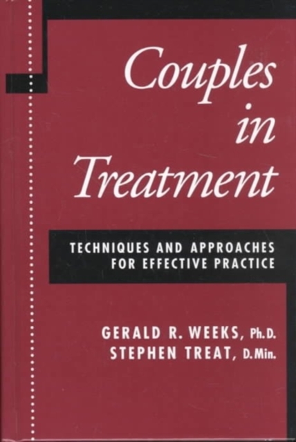 Couples In Treatment: Techniques And Approaches For Effective Practice, Hardback Book