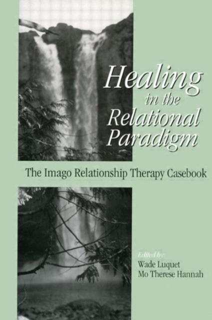 Healing in the Relational Paradigm : The Imago Relationship Therapy Casebook, Hardback Book