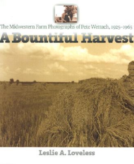 A Bountiful Harvest : The Midwestern Farm Photographs of Pete Wettach, 1925-1965, Hardback Book