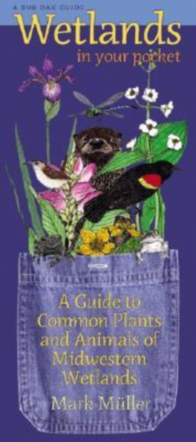 Wetlands in Your Pocket : A Guide to Common Plants and Animals of Midwestern Wetlands, Paperback / softback Book