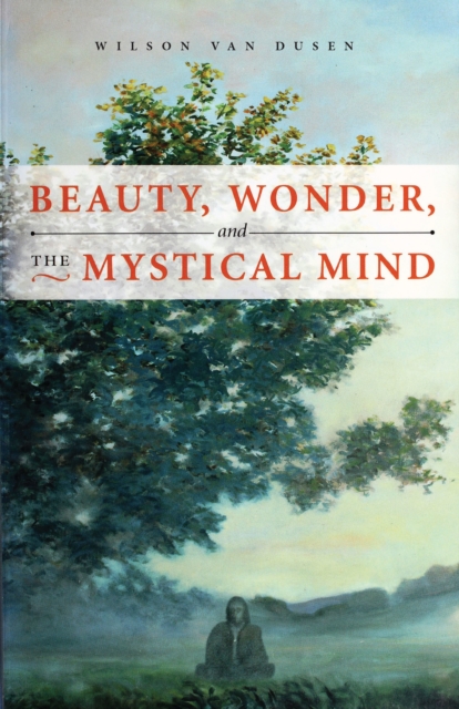 BEAUTY, WONDER, AND THE MYSTICAL MIND, EPUB eBook