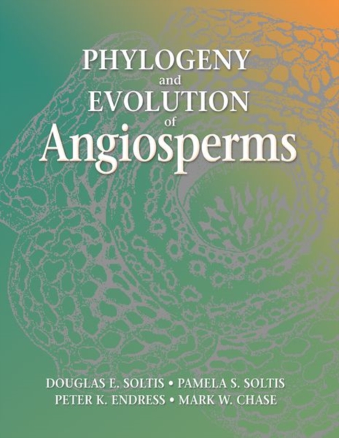 Phylogeny and Evolution of Angiosperm, Paperback / softback Book