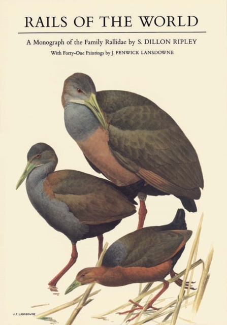 Rails of the World : A Monograph of the Family Rallidae, Hardback Book