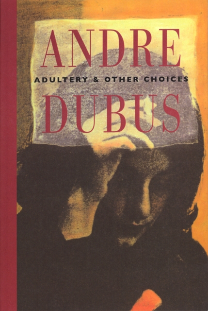 Adultery and Other Choices, Paperback Book