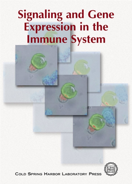 Signaling and Gene Expression in the Immune System, Paperback / softback Book