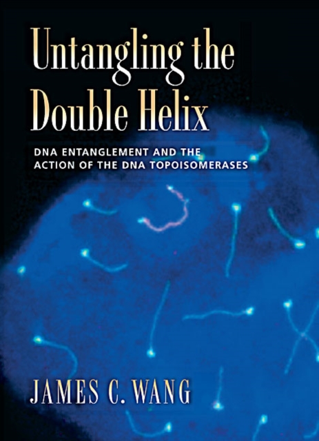 Untangling the Double Helix : DNA Entanglement and the Action of the DNA Topoisomerases, Hardback Book