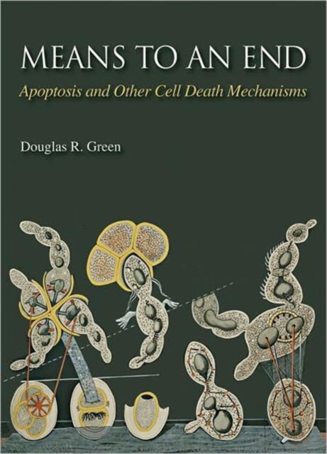 Means to an End : Apoptosis and Other Cell Death Mechanisms, Paperback / softback Book