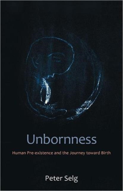 Unbornness : Human Pre-Existence and the Journey Toward Birth, Paperback / softback Book