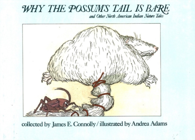 Why The Possum's Tale Is Bare, Hardback Book