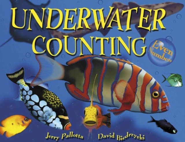 Underwater Counting, Hardback Book