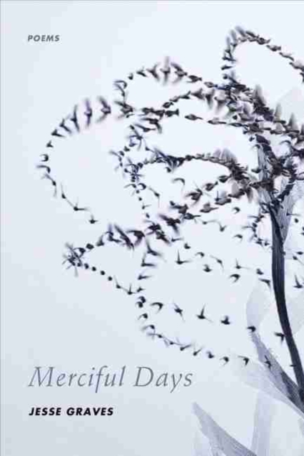 Merciful Days : Poems, Paperback / softback Book