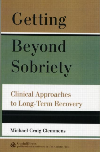 Getting Beyond Sobriety : Clinical Approaches to Long-Term Recovery, Paperback / softback Book