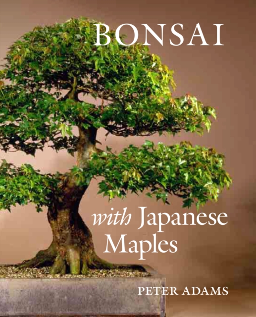 Bonsai with Japanese Maples, Hardback Book