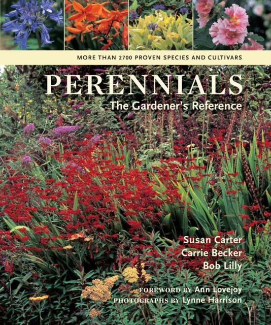 Perennials, Hardback Book