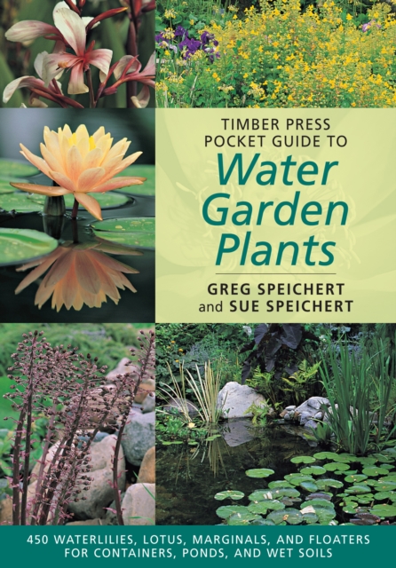 Timber Press Pocket Guide to Water Garden Plants, Paperback / softback Book