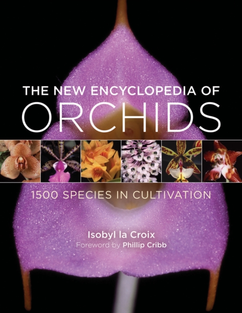 New Encyclopedia of Orchids, Hardback Book