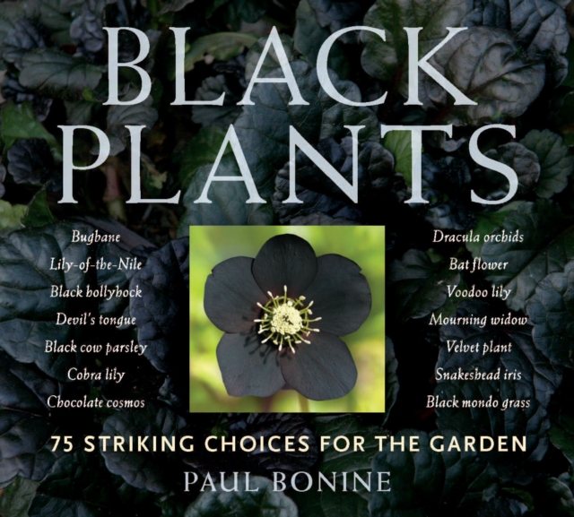 Black Plants, Paperback / softback Book