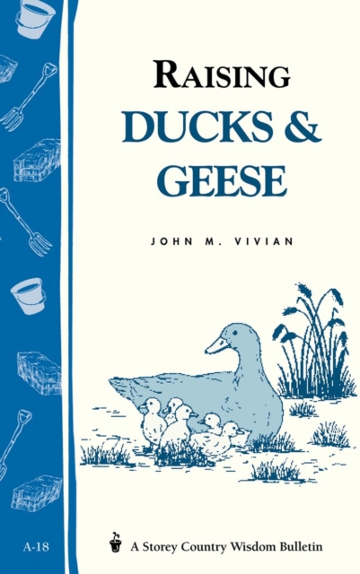 Raising Ducks & Geese : Storey's Country Wisdom Bulletin A-18, Paperback / softback Book