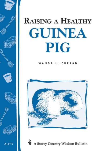 Raising a Healthy Guinea Pig : Storey's Country Wisdom Bulletin A-173, Paperback / softback Book
