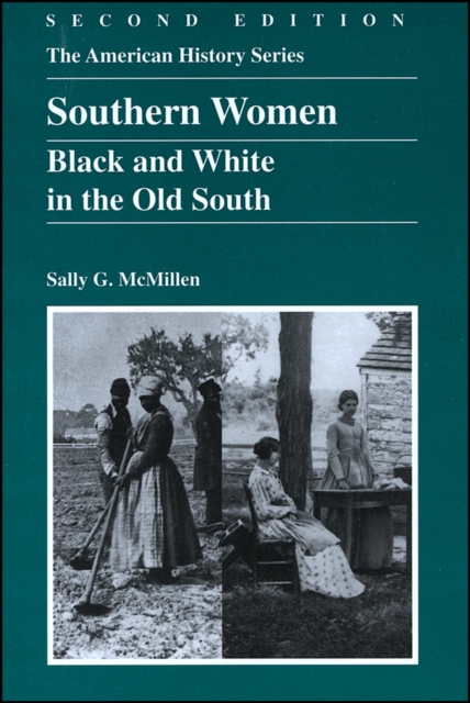 Southern Women : Black and White in the Old South, Paperback / softback Book