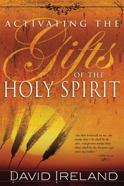 Activating the Gifts of the Holy Spirit, Paperback / softback Book