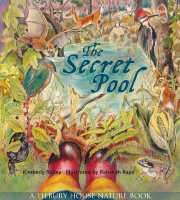 The Secret Pool, Hardback Book