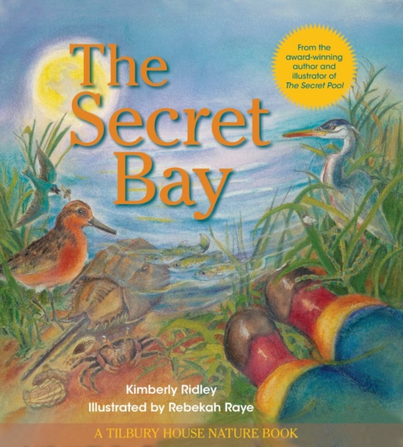 The Secret Bay, Hardback Book