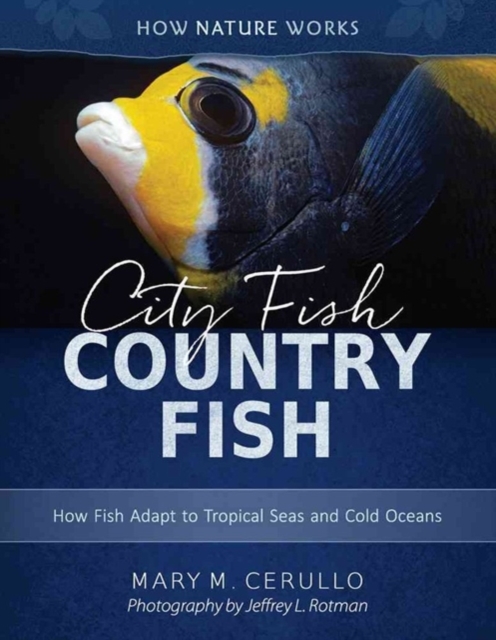 City Fish Country Fish : How Fish Adapt to Tropical Seas and Cold Oceans, Hardback Book