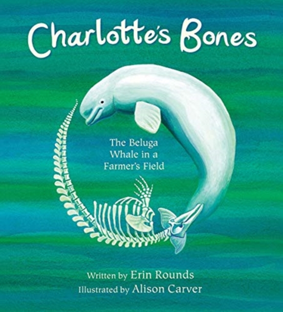 Charlotte's Bones : The Beluga Whale in a Farmer's Field, Paperback / softback Book
