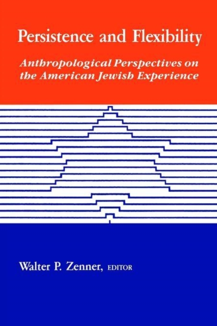Persistence and Flexibility : Anthropological Perspectives on the American Jewish Experience, Paperback / softback Book