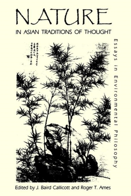 Nature in Asian Traditions of Thought : Essays in Environmental Philosophy, Paperback / softback Book