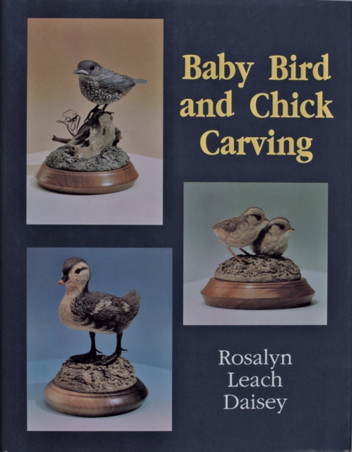 Baby Bird and Chick Carving, Hardback Book