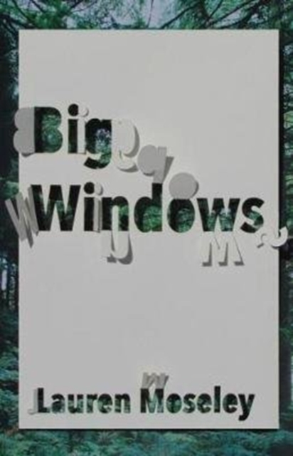 Big Windows, Paperback / softback Book